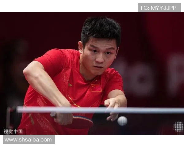 杭州羽毛球队逆袭世锦赛的荣耀之路与奋斗精神的完美结合